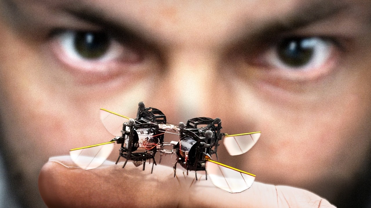 Miért készítenek a tudósok robotrovarokat?