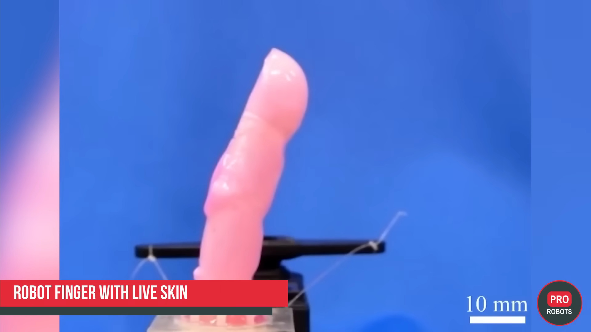 Robot ujj érző bőrszövettel bprítva