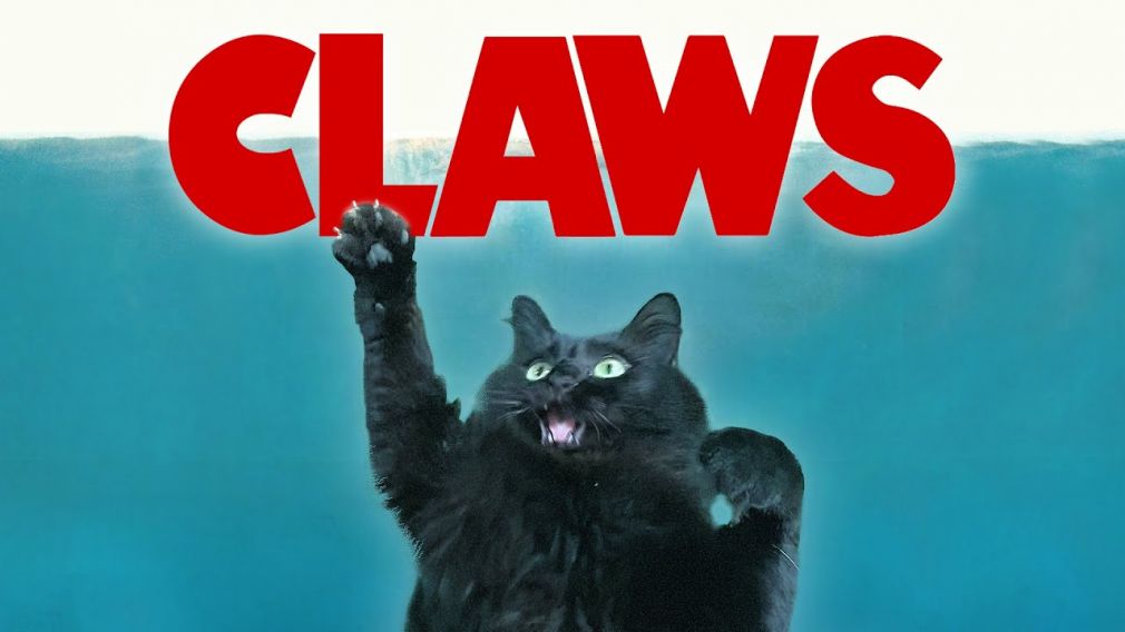 Milyen lenne a Cápa című film a mélytengeri ragadozó helyett egy macskával a főszerepben?